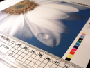 poster printing